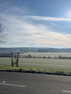Ursprünglich war heute eine Tour durch die Rotkäppchen Erlebniswelt geplant. Überraschenderweise war dort heute geschlossen. Die gewonnene Zeit haben wir sinnvoll genutzt und den Hofladen von Familie Reifert besucht.  Seit 10 Jahren kennen wir die Weine und haben schon unzählige Male den Weinberg am Geiseltalsee besucht. Zum Hofladen haben wir es erstaunlicherweise erst heute geschafft. Bei netten Gesprächen und einigen Verkostungsglässchen haben wir uns auch gleich für die Feiertage eingedeckt.  #wein #deutscherwein #saaleunstrutwein #weinregionsaaleunstrut #weintrinken #weinliebe #inweinwetrust #weinblog #leipzig #freyburg