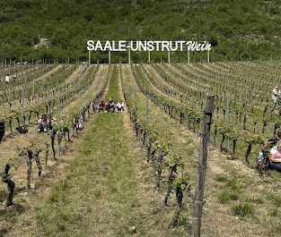 Saale-Unstrut Wein