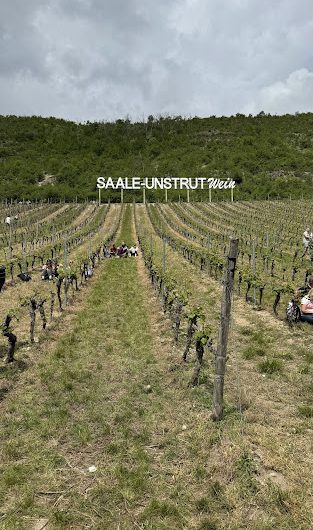 Weinbau in Deutschland