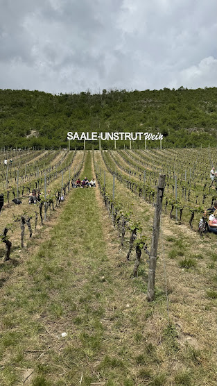 Saale-Unstrut Wein