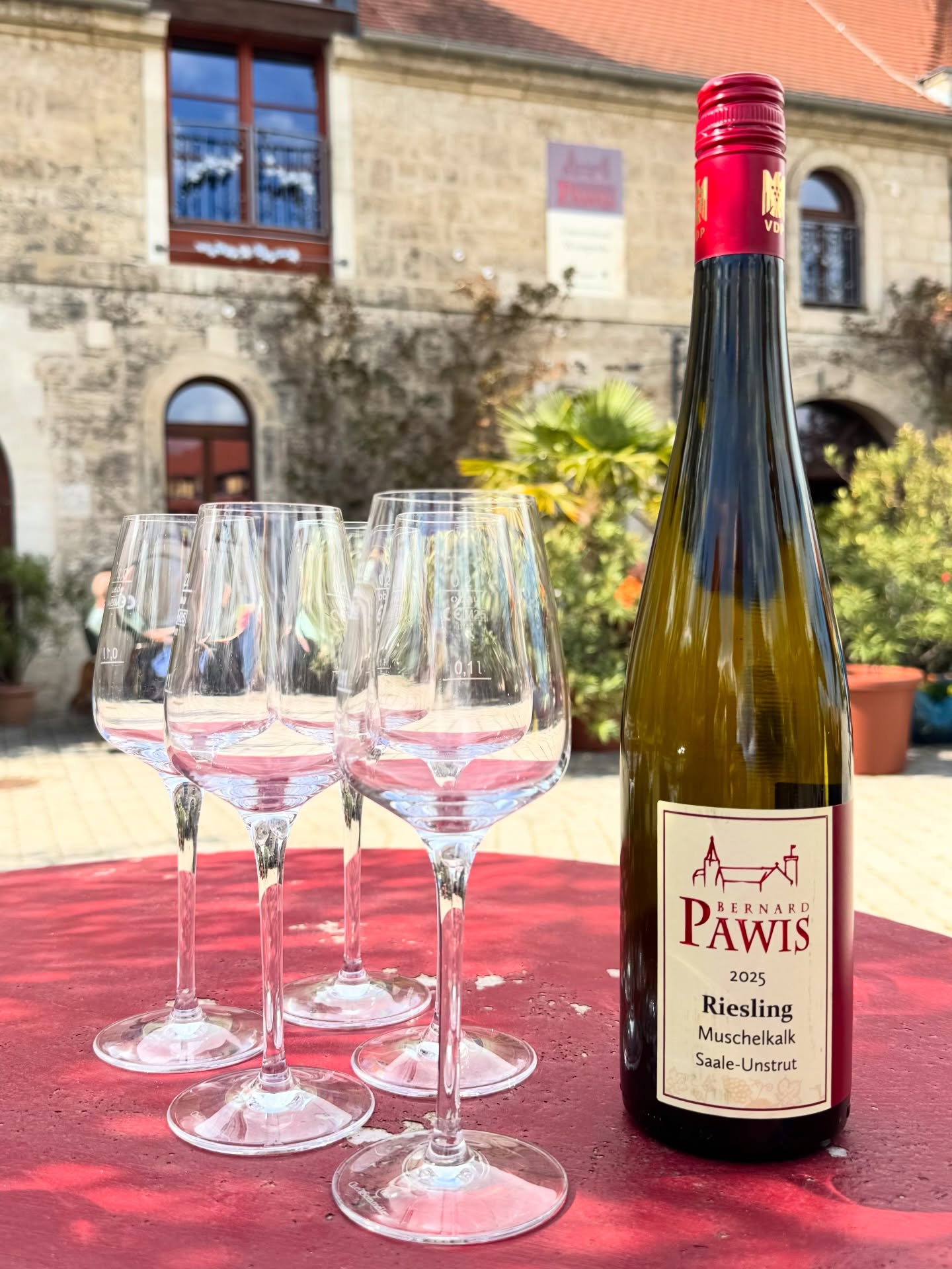 Immer einen Besuch wert, das Weingut Pawis. 
Zu Ostern hatten natürlich nicht nur wir die Idee, aber das macht nix - ist genug Platz hier und der Wein schmeckt auch im stehen. 🥂  #weingut #weingutpawis #saaleunstrutwein #weinblogger