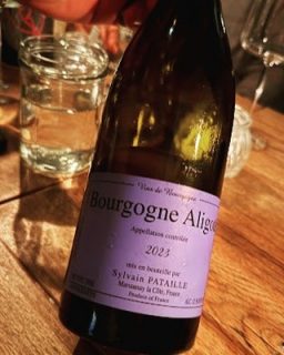 Gestern gab es im @renkli_leipzig einen absolut genialen Absacker, der eigentlich nur flaschenweise über den Tresen wandert: den 2023er Bourgogne Aligoté von Sylvain Pataille.  Wer hier eine klassisch-brave Burgunder-Stilistik erwartet, wird komplett überrumpelt. Pataille kitzelt aus der oft unterschätzten Rebsorte Aligoté ein echtes Naturwein-Biest heraus – natürlich biodynamisch und mit genialen Ecken und Kanten.  Elektrisierende Säure, toller Grip und eine salzige Mineralität im Abgang.  Kompromissloses Handwerk mit richtig viel Krawums. Genau das, was ich liebe!  Habe mich sehr gefreut am Ende dieses Abends noch Özlem und Fatih sehen zu können und mit Fatih draußen auch noch kurz ein paar herziiche Worte wechseln zu können.  Ende Oktober wird das Renkli übringens 10 Jahre alt. Conny und ich waren damals zufällig die ersten Gäste und Fatih hat uns mit einer Flasche Riesling-Sekt von Reichsrat von Buhl in mundgeblasenen Gläsern von Gabriel Glas begrüsst. Diesen Moment und diesen Sekt haben wir nie vergessen.  Mehr dazu demnächst im Blog.  #renkliweinundangst #weinbar #leipzig #weinblog #gastrole #weinliebe