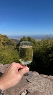 Eine Weinreise ins Elsass.  Vor 3 Jahren waren Conny und ich das erste mal im Elsass. Damals in Straßburg, leider nur einen Tag. Viel zu wenig Zeit. Dieses Jahr haben wir uns 4 Tage in Colmar gegönnt. Und wisst ihr was ?  Auch diese Zeit in dieser wundervollen Gegend, mit den Fachwerkhäusern, den Weinbergen, den Burgruinen und leckerem Essen, viel zu kurz.  Von vier Weingütern in Colmar die wir gemütlich zu Fuß erkunden wollten, haben wir nicht eins geschafft. Dafür aber recht kurz das Weingut Fernand Engel in der Nähe von Cháteau du Haut-Koenigsbourg.  Über die Weine aus dem wunderschönen Elsass habe ich etwas in den Blog geschrieben. Link in Bio  #Elsass #VindAlsace #Weinblog #Leipzig #Weinliebe