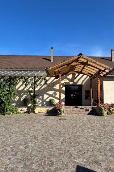 Bio Weingut Fernand Engel im Elsass