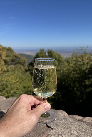 Eine Weinreise ins Elsass
