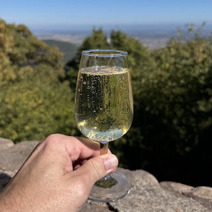 Wein aus dem Elsass im typischen Glas für den Elsass